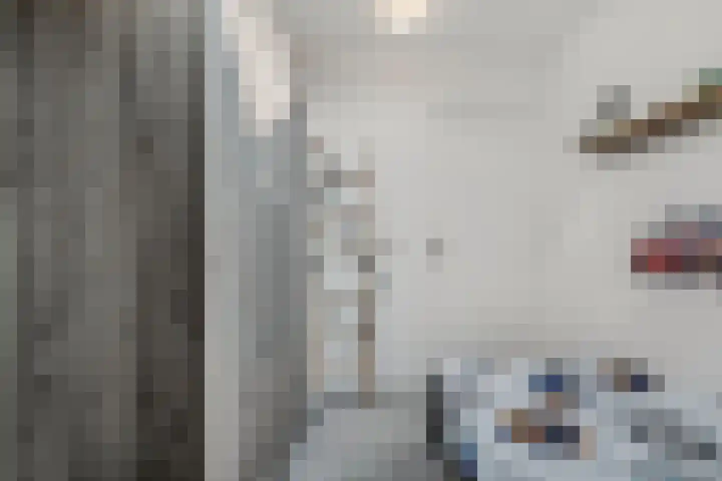 De Ikebosker 44 Oudemirdum thumbnail 38