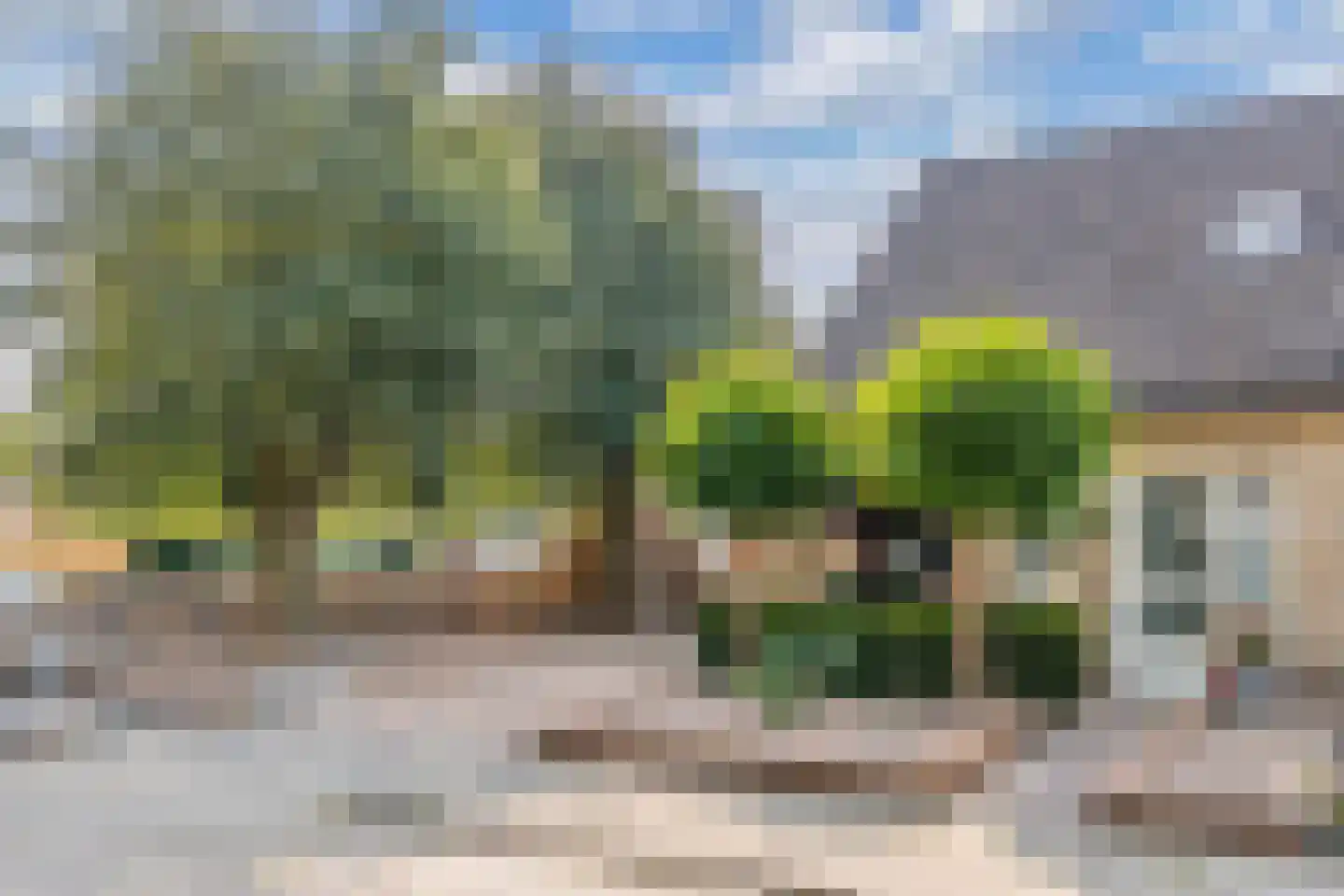 De Ikebosker 44 Oudemirdum thumbnail 4