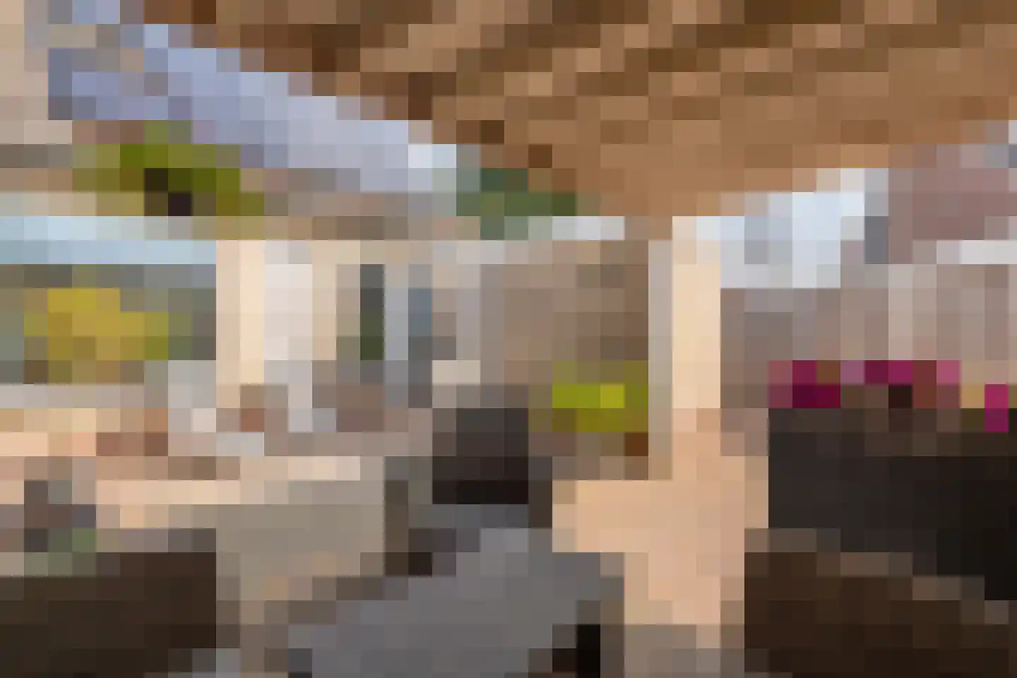 De Ikebosker 44 Oudemirdum thumbnail 44