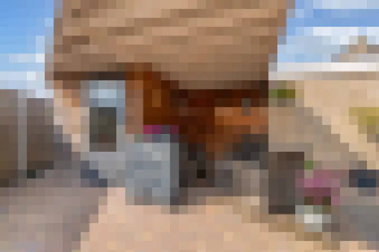 De Ikebosker 44 Oudemirdum thumbnail 45
