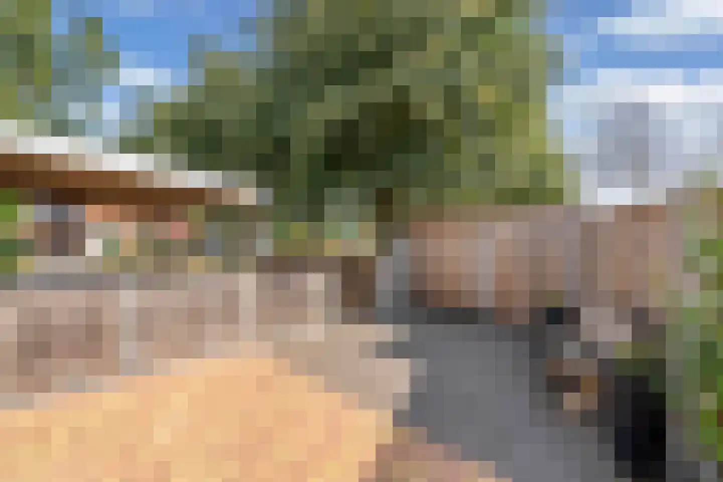 De Ikebosker 44 Oudemirdum thumbnail 49