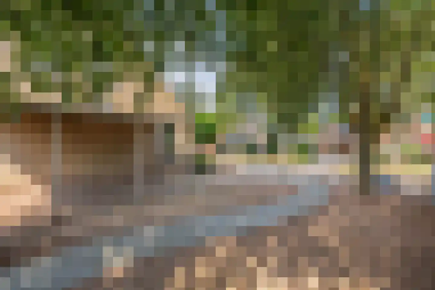 De Ikebosker 44 Oudemirdum thumbnail 54