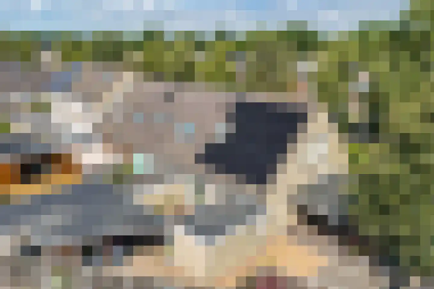 De Ikebosker 44 Oudemirdum thumbnail 57