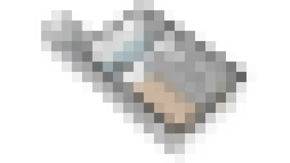 De Ikebosker 44 Oudemirdum thumbnail 65