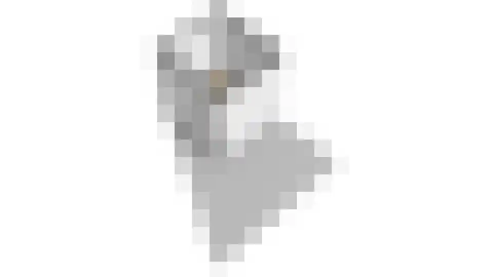 De Ikebosker 44 Oudemirdum thumbnail 68