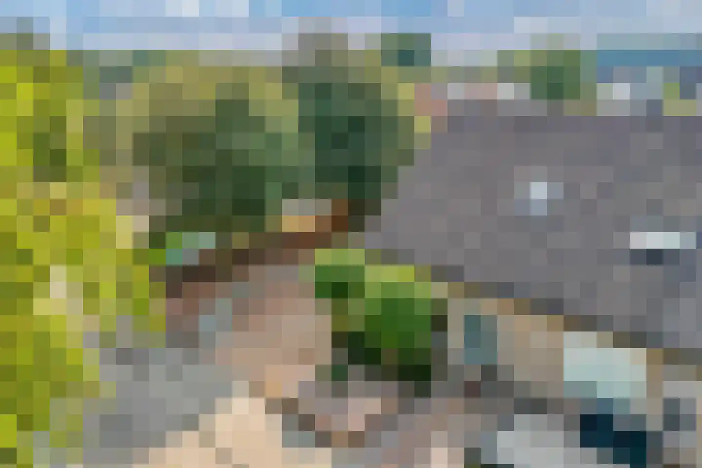 De Ikebosker 44 Oudemirdum thumbnail 7