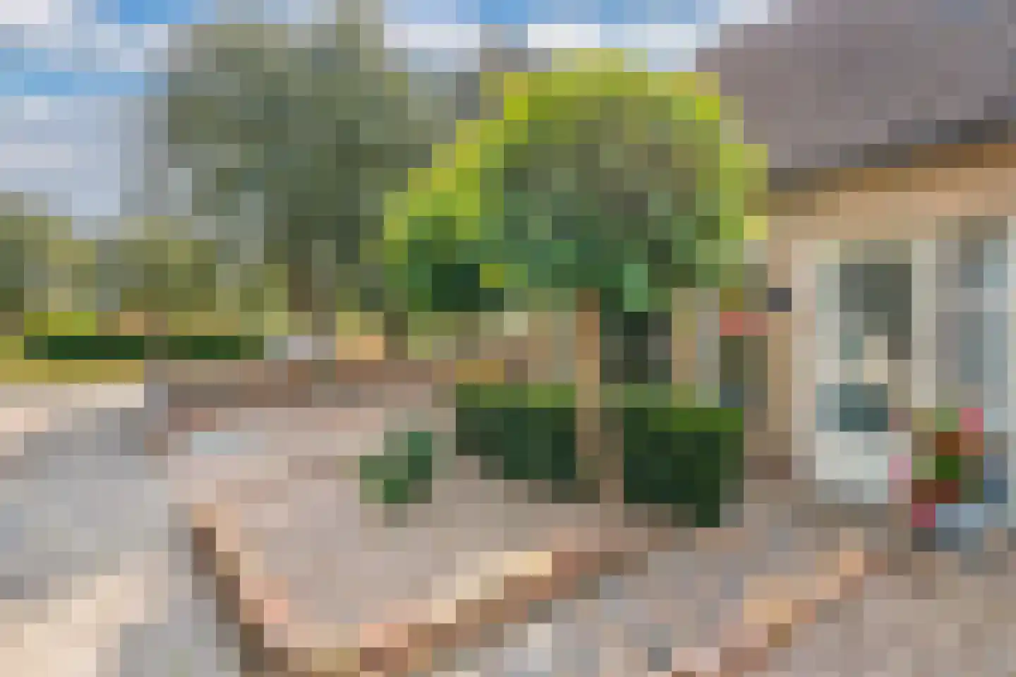 De Ikebosker 44 Oudemirdum thumbnail 8