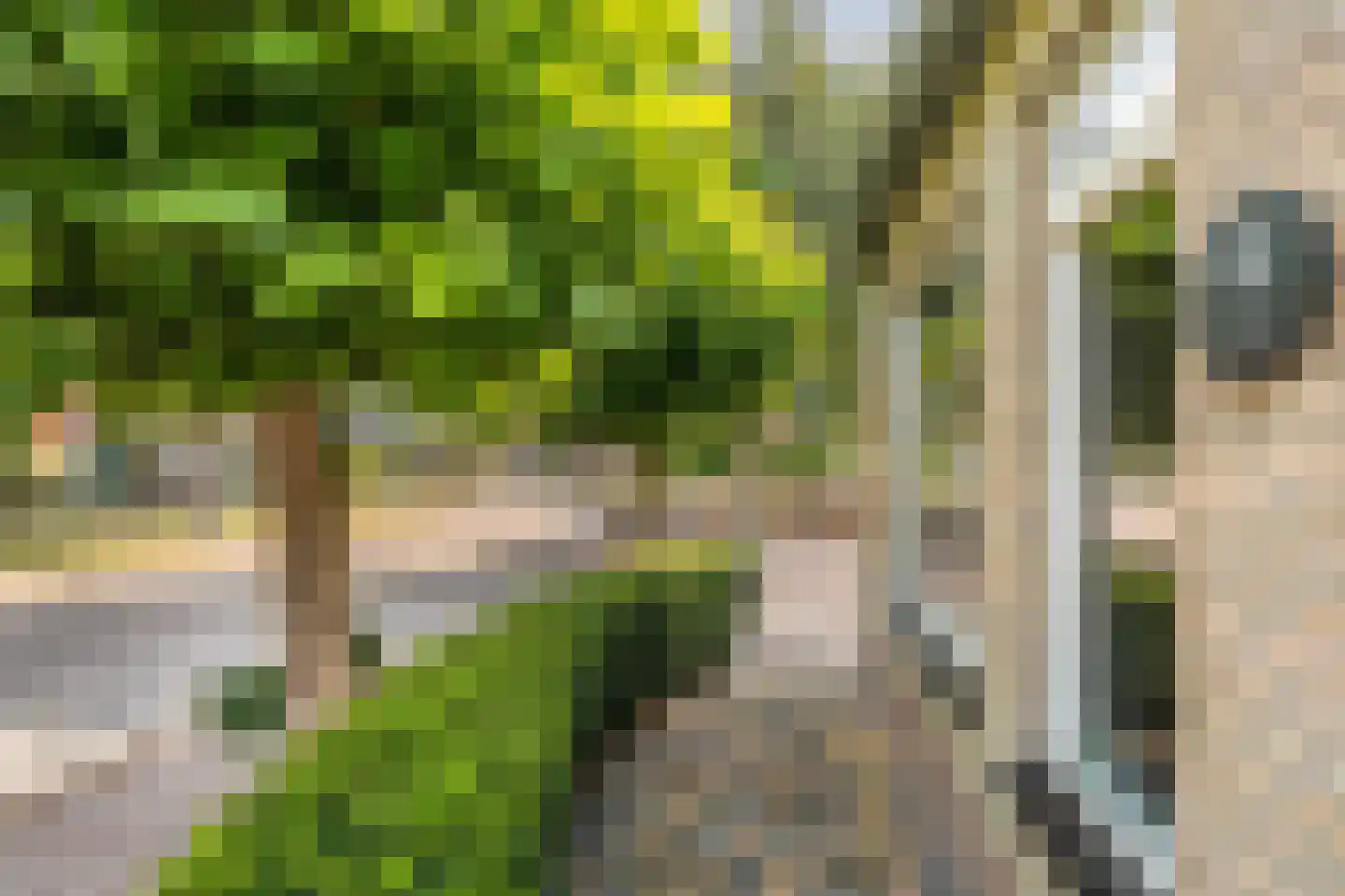 De Ikebosker 44 Oudemirdum thumbnail 9