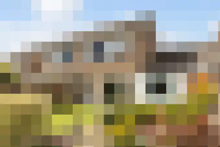 De Iken 55 Feanwâlden thumbnail 14