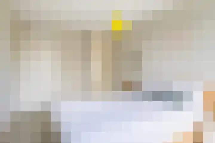 De Iken 55 Feanwâlden thumbnail 23