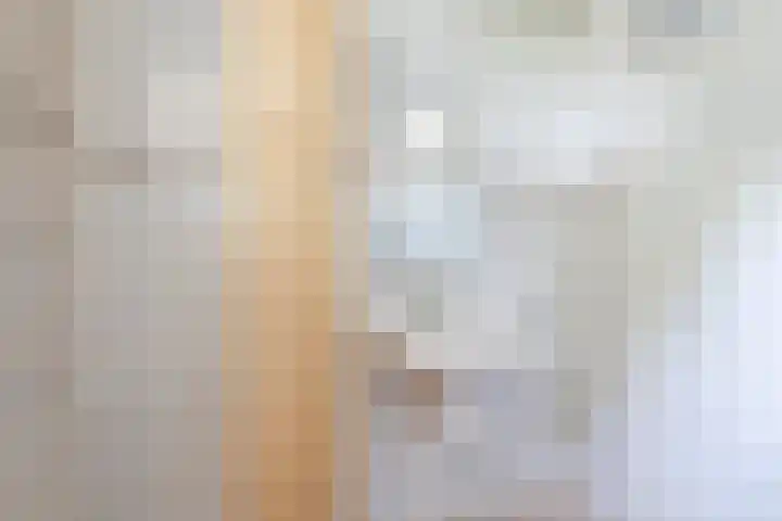 De Iken 55 Feanwâlden thumbnail 27