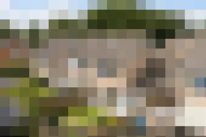 De Iken 55 Feanwâlden thumbnail 35
