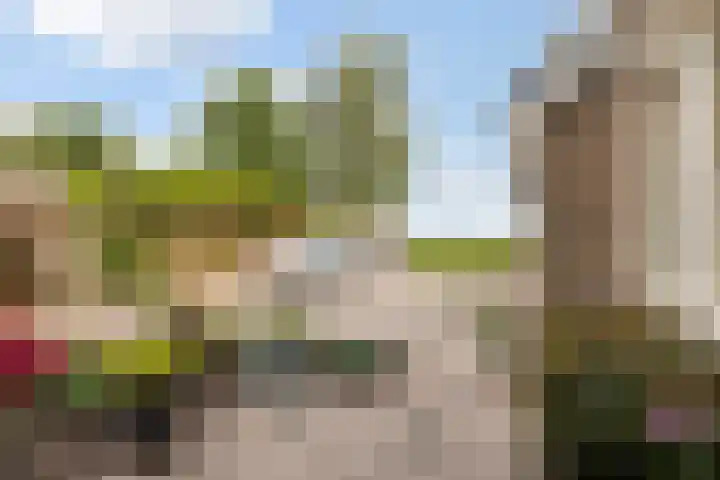 De Iken 55 Feanwâlden thumbnail 37