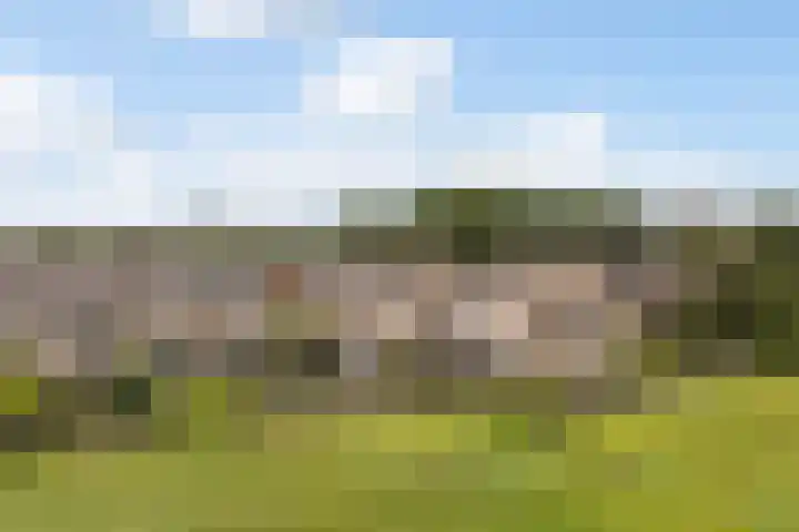 De Iken 55 Feanwâlden thumbnail 38