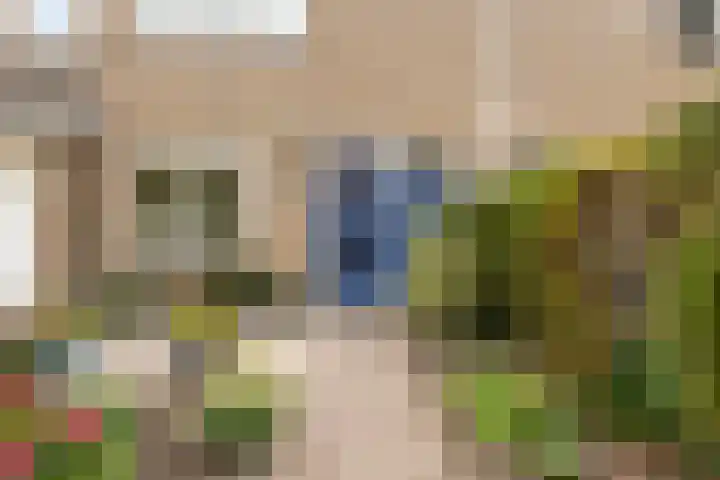 De Iken 55 Feanwâlden thumbnail 4