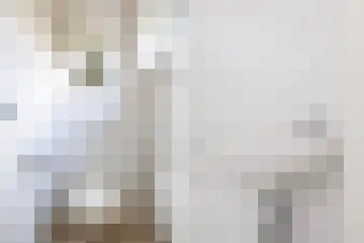 De Iken 55 Feanwâlden thumbnail 7