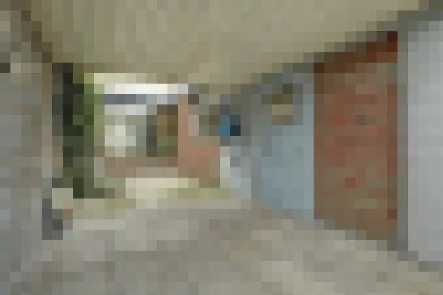 de Imker 23 Heeze thumbnail 17