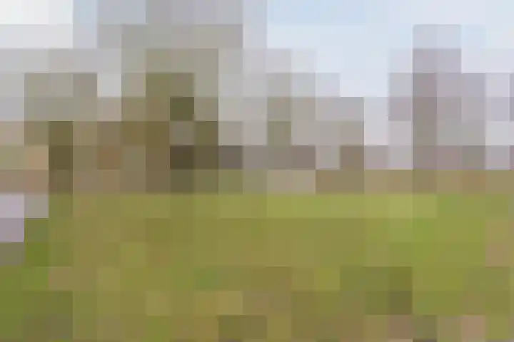 de Imker 23 Heeze thumbnail 27
