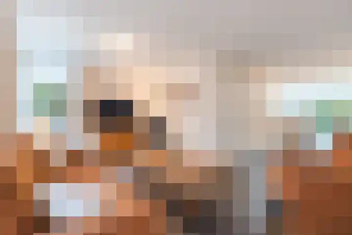 de Imker 23 Heeze thumbnail 7