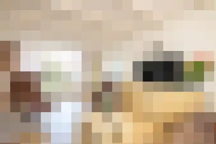 De Imker 9 Kwintsheul thumbnail 12