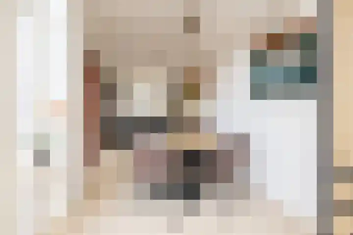 De Imker 9 Kwintsheul thumbnail 15
