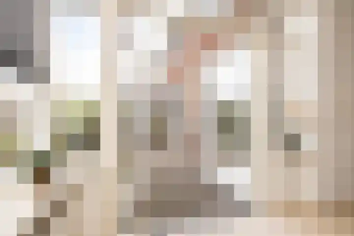 De Imker 9 Kwintsheul thumbnail 16