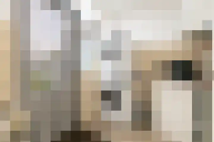 De Imker 9 Kwintsheul thumbnail 17