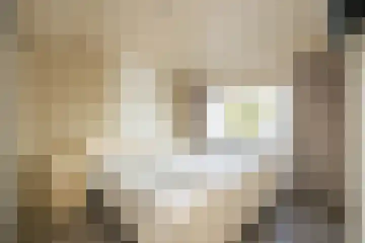 De Imker 9 Kwintsheul thumbnail 19