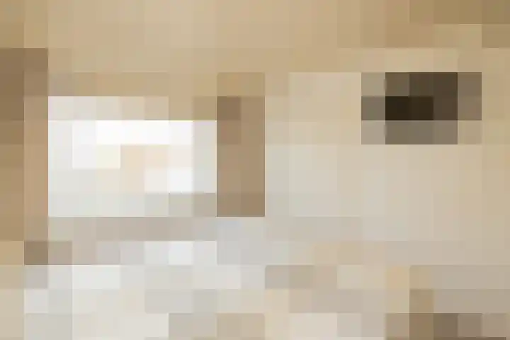 De Imker 9 Kwintsheul thumbnail 20