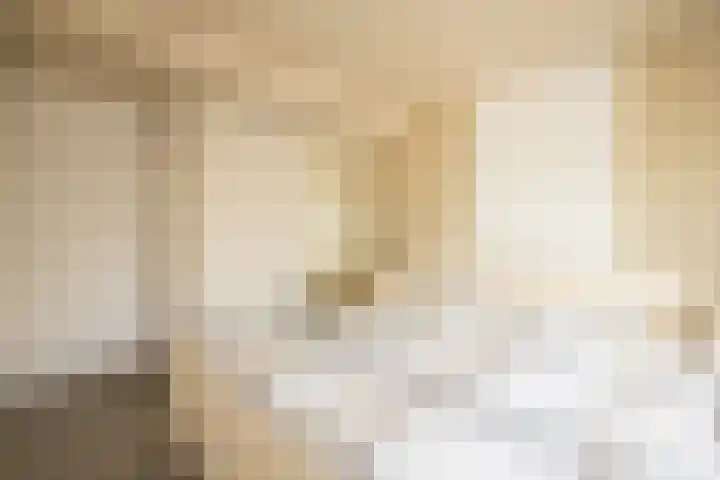 De Imker 9 Kwintsheul thumbnail 21