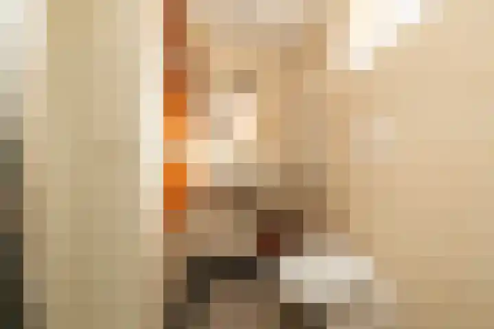 De Imker 9 Kwintsheul thumbnail 24