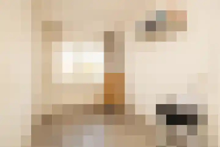 De Imker 9 Kwintsheul thumbnail 25