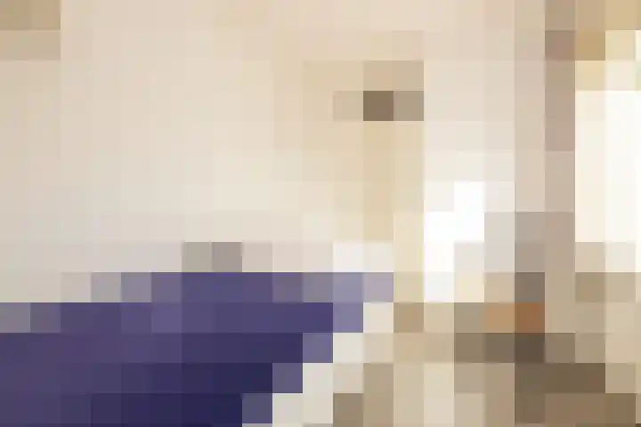 De Imker 9 Kwintsheul thumbnail 28