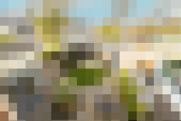 De Imker 9 Kwintsheul thumbnail 29