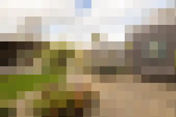 De Imker 9 Kwintsheul thumbnail 31