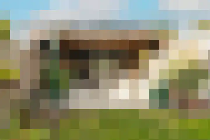 De Imker 9 Kwintsheul thumbnail 33