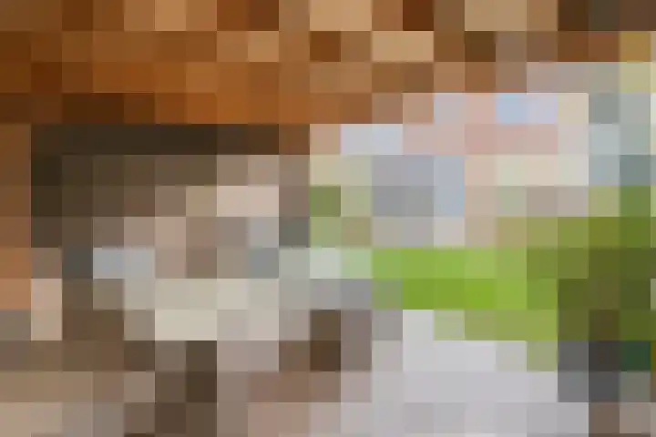 De Imker 9 Kwintsheul thumbnail 34