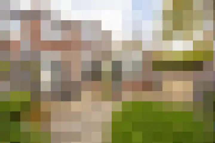 De Imker 9 Kwintsheul thumbnail 36