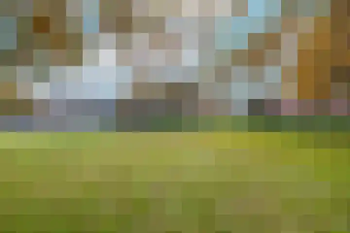 De Imker 9 Kwintsheul thumbnail 37