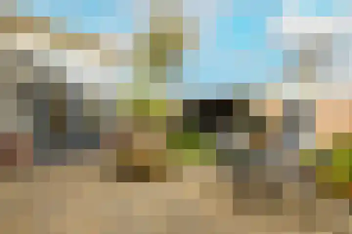 De Imker 9 Kwintsheul thumbnail 4