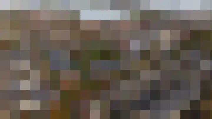 De Imker 9 Kwintsheul thumbnail 5