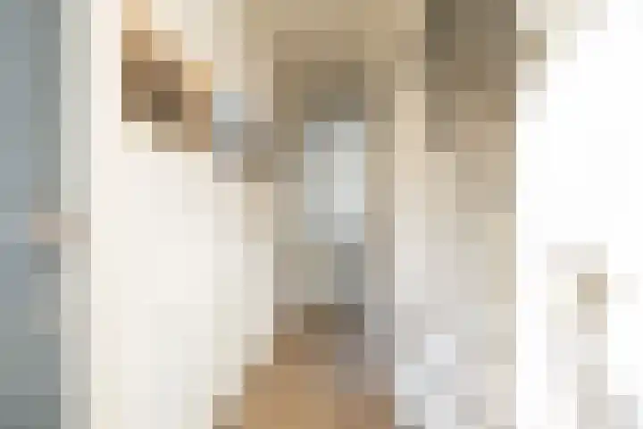 De Imker 9 Kwintsheul thumbnail 6