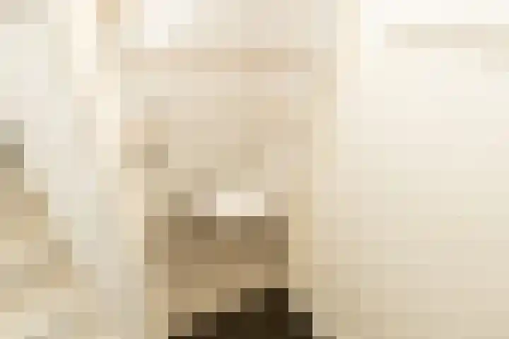 De Imker 9 Kwintsheul thumbnail 7