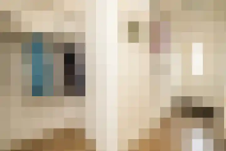 De Imker 9 Kwintsheul thumbnail 8