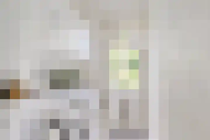 De Indus 6 Drunen thumbnail 12
