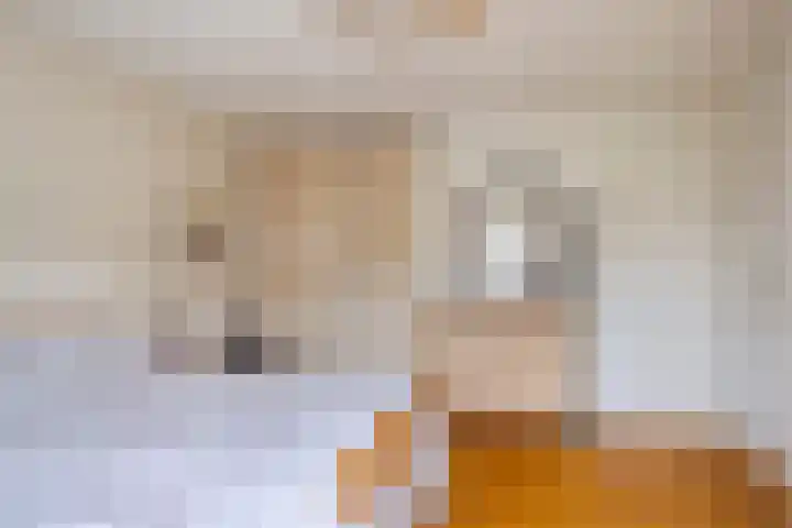 De Indus 6 Drunen thumbnail 20