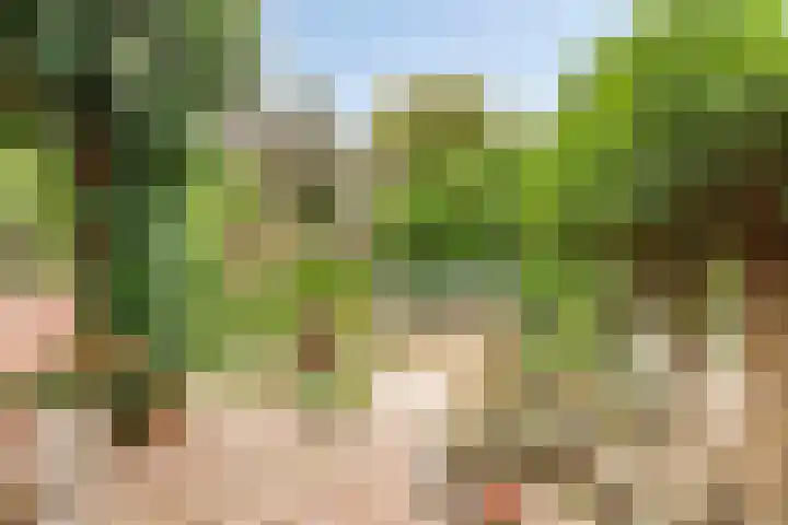De Indus 6 Drunen thumbnail 37