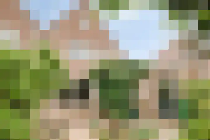 De Indus 6 Drunen thumbnail 38