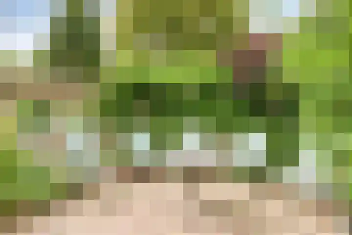 De Indus 6 Drunen thumbnail 40