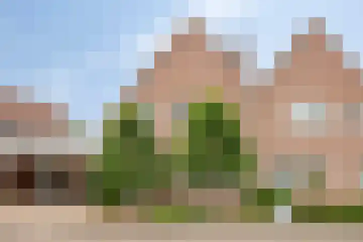 De Indus 6 Drunen thumbnail 42